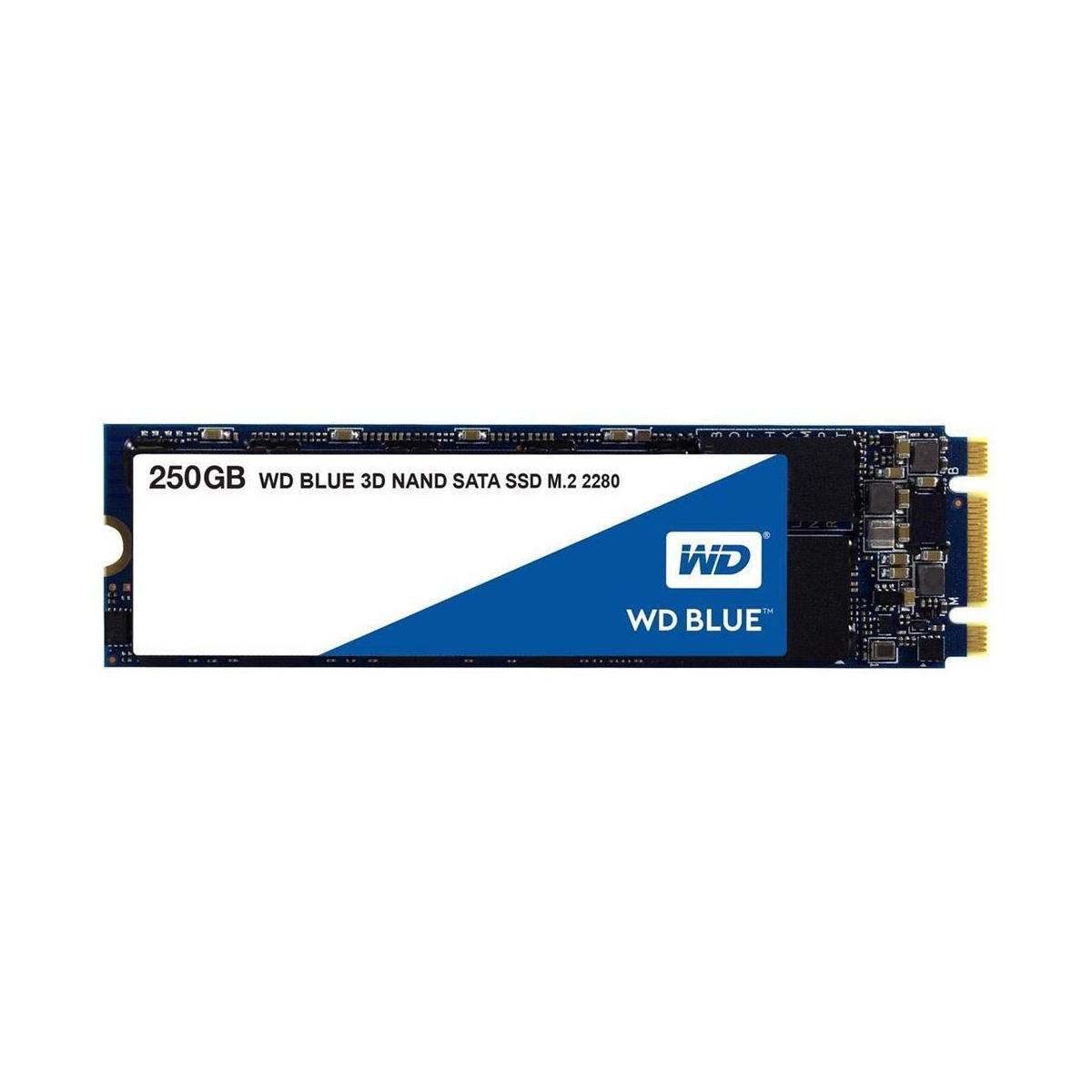 Hard Disk Stato Solido SSD 2,5" 250GB Western Digital Blue 3D Nand M.2 SATA3 WDS250G2B0B